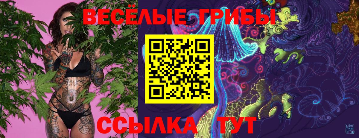 Галлюциногенные грибы ЛСД Вичуга
