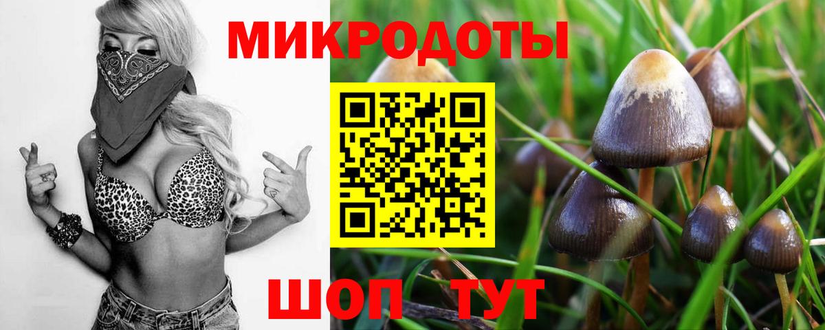 Вичуга  Псилоцибиновые грибы Psilocybine cubensis  Вход с VPN 